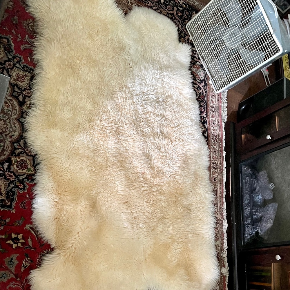 Premium sheepskin rug 3’8” X 6’1”